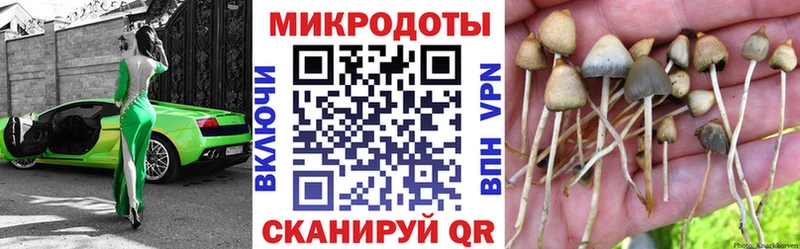 Купить закладки  Красный Кут  Псилоцибиновые грибы GOLDEN TEACHER 