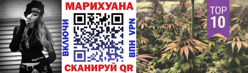 Купить  Красный Кут  Бошки Шишки SATIVA & INDICA 